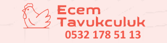 Ecem Tavukculuk